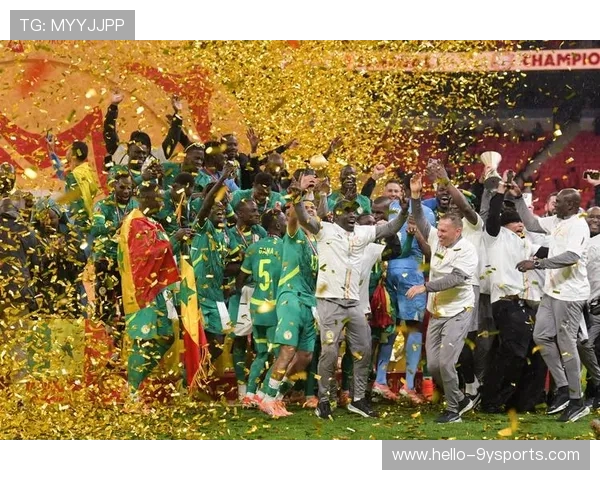 塞内加尔世界杯精彩回顾与非洲足球崛起新篇章